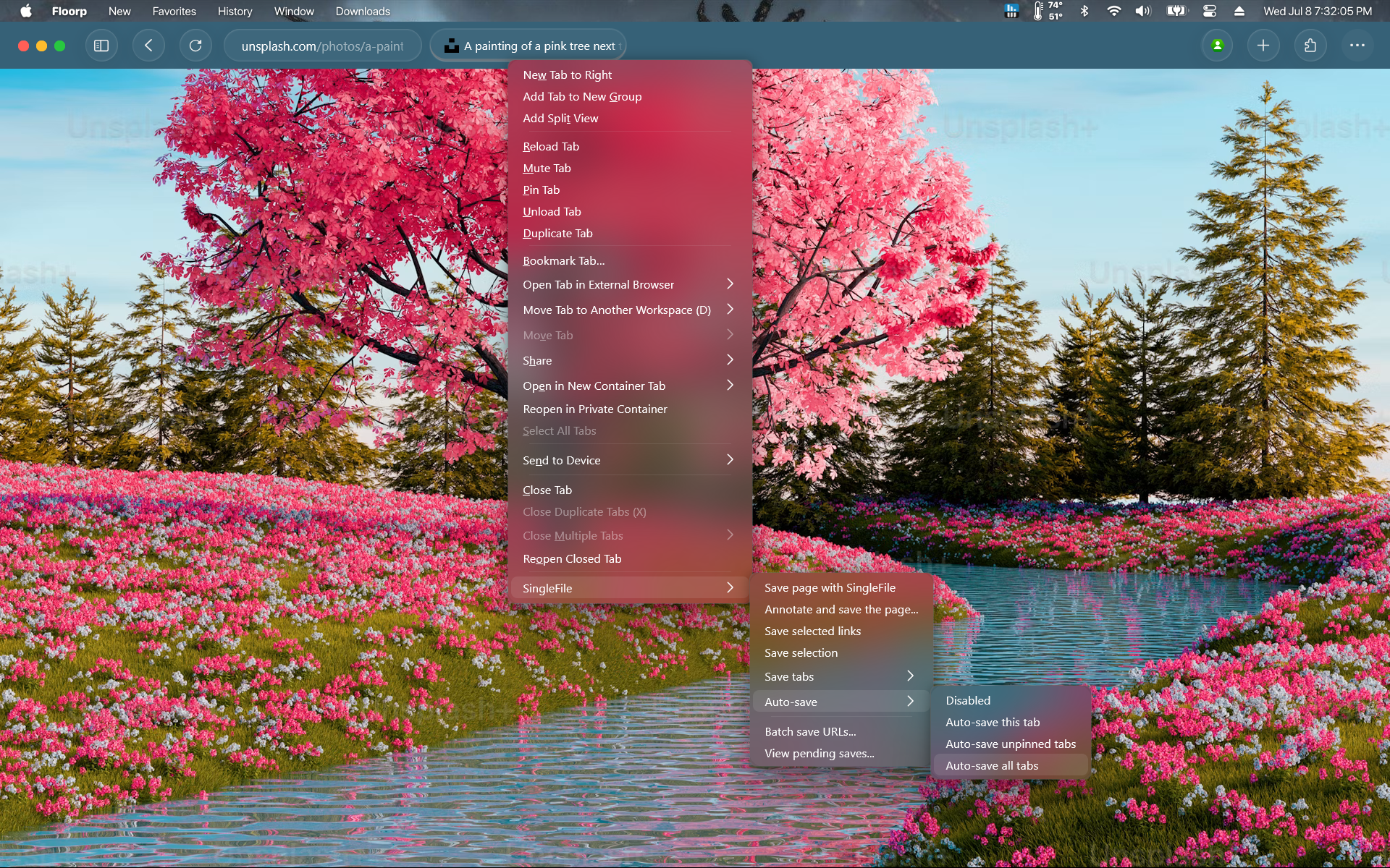 Safari-Firefox screenshot 1